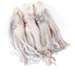 Frozen Octopus Exporters, Wholesaler & Manufacturer | eximnext.com