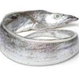 Frozen Ribbon Fish Exporters, Wholesaler & Manufacturer | eximnext.com