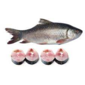 Frozen Rohu Fish Exporters, Wholesaler & Manufacturer | eximnext.com