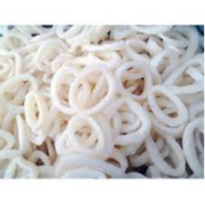 Frozen Squid Exporters, Wholesaler & Manufacturer | eximnext.com