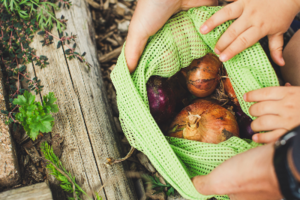 Fungicides Exporters, Wholesaler & Manufacturer | eximnext.com