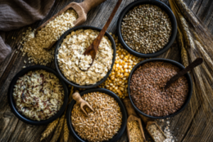 Vegetable Seeds Exporters, Wholesaler & Manufacturer | eximnext.com