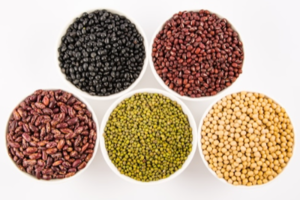 Oil Seeds Exporters, Wholesaler & Manufacturer | eximnext.com