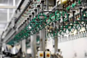 Dairy & Poultry Equipment Exporters, Wholesaler & Manufacturer | eximnext.com