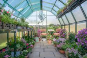 Greenhouse Exporters, Wholesaler & Manufacturer | eximnext.com