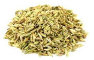 Aniseeds Exporters, Wholesaler & Manufacturer | eximnext.com