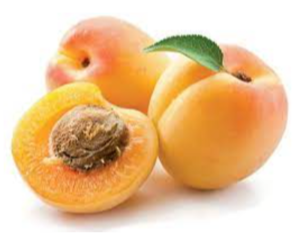 Apricot Exporters, Wholesaler & Manufacturer | eximnext.com