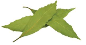 Bay Leaf Exporters, Wholesaler & Manufacturer | eximnext.com
