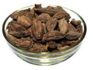 Black Cardamom Exporters, Wholesaler & Manufacturer | eximnext.com