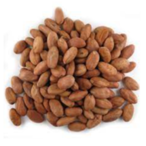 Cacao Nuts Exporters, Wholesaler & Manufacturer | eximnext.com