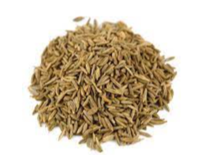 Caraway Seeds Exporters, Wholesaler & Manufacturer | eximnext.com