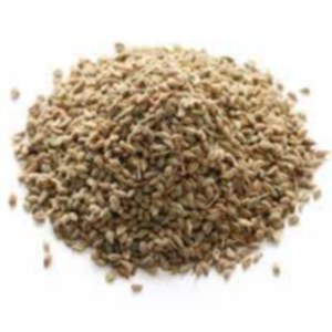 Carom Seeds Exporters, Wholesaler & Manufacturer | eximnext.com