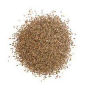 Celery Seeds Exporters, Wholesaler & Manufacturer | eximnext.com