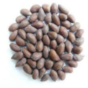 Cotton Seeds Exporters, Wholesaler & Manufacturer | eximnext.com