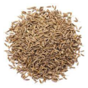 Cumin Seeds Exporters, Wholesaler & Manufacturer | eximnext.com