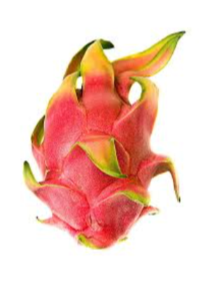 Dragon Fruit Exporters, Wholesaler & Manufacturer | eximnext.com