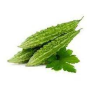 Fresh Bitter Gourd Exporters, Wholesaler & Manufacturer | eximnext.com