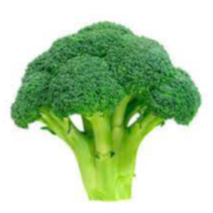 Fresh Broccoli Exporters, Wholesaler & Manufacturer | eximnext.com