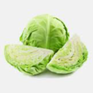 Fresh Cabbage Exporters, Wholesaler & Manufacturer | eximnext.com