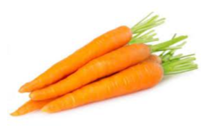 Fresh Carrot Exporters, Wholesaler & Manufacturer | eximnext.com