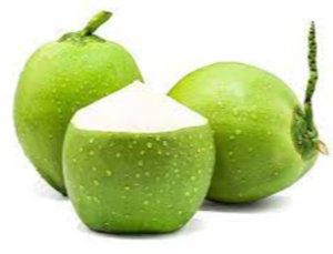 Fresh Coconut Exporters, Wholesaler & Manufacturer | eximnext.com