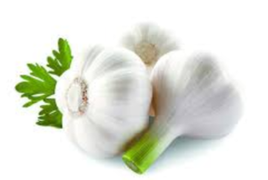 Fresh Garlic Exporters, Wholesaler & Manufacturer | eximnext.com