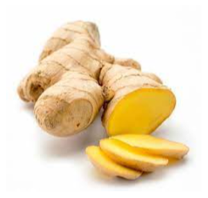 Fresh Ginger Exporters, Wholesaler & Manufacturer | eximnext.com
