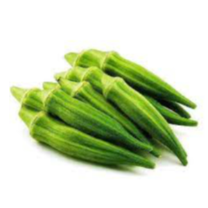 Fresh Lady Finger Exporters, Wholesaler & Manufacturer | eximnext.com