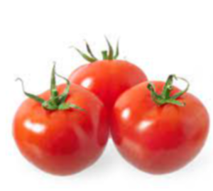 Fresh Tomato Exporters, Wholesaler & Manufacturer | eximnext.com