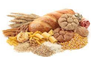 Grains & Cereals Exporters, Wholesaler & Manufacturer | eximnext.com