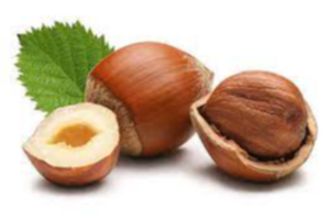 Hazelnuts Exporters, Wholesaler & Manufacturer | eximnext.com
