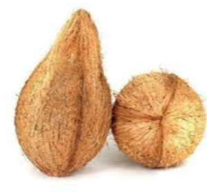 Husked Coconut Exporters, Wholesaler & Manufacturer | eximnext.com