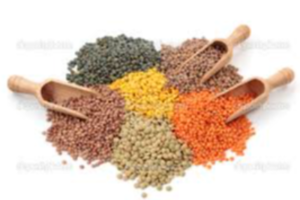 Lentils Exporters, Wholesaler & Manufacturer | eximnext.com