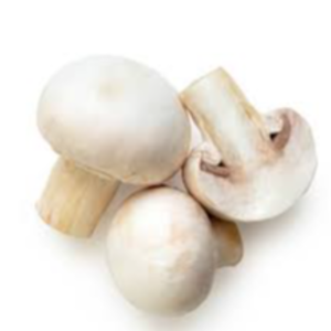 Mushrooms Exporters, Wholesaler & Manufacturer | eximnext.com