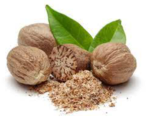 Nutmegs Exporters, Wholesaler & Manufacturer | eximnext.com