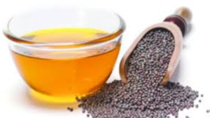 Oil Seeds Exporters, Wholesaler & Manufacturer | eximnext.com