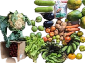 Organic Vegetables Exporters, Wholesaler & Manufacturer | eximnext.com