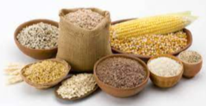 Other Oil Seeds Exporters, Wholesaler & Manufacturer | eximnext.com