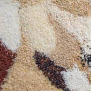 Other Type Of Rice Exporters, Wholesaler & Manufacturer | eximnext.com