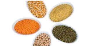 Pulses Exporters, Wholesaler & Manufacturer | eximnext.com