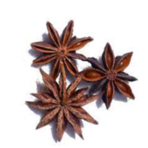 Star Anise Exporters, Wholesaler & Manufacturer | eximnext.com