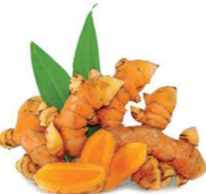 Turmeric Exporters, Wholesaler & Manufacturer | eximnext.com