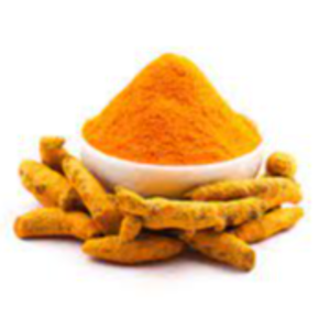 Turmeric Powder Exporters, Wholesaler & Manufacturer | eximnext.com