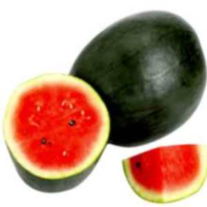 Watermelon Exporters, Wholesaler & Manufacturer | eximnext.com