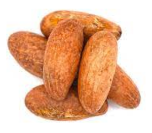 Bitter Kola, Garcinia Kola Exporters, Wholesaler & Manufacturer | eximnext.com