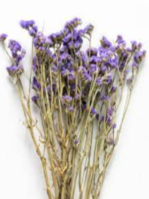 Dried Flowers Exporters, Wholesaler & Manufacturer | eximnext.com