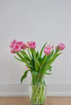 Fresh Flowers Exporters, Wholesaler & Manufacturer | eximnext.com