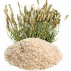 Psyllium Husk Exporters, Wholesaler & Manufacturer | eximnext.com