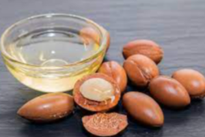 Argan Oil Exporters, Wholesaler & Manufacturer | eximnext.com