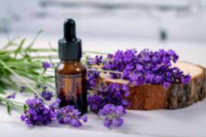 Lavender Oil Exporters, Wholesaler & Manufacturer | eximnext.com